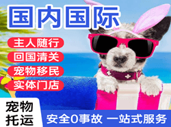 呼伦贝尔海拉尔机场物流国际宠物托运 【国